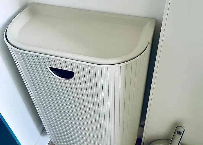 Cathedral And Seine View , Heart Of